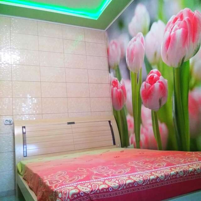 Апартаменты Апартаменты стадион Металист tulips Харьков-3