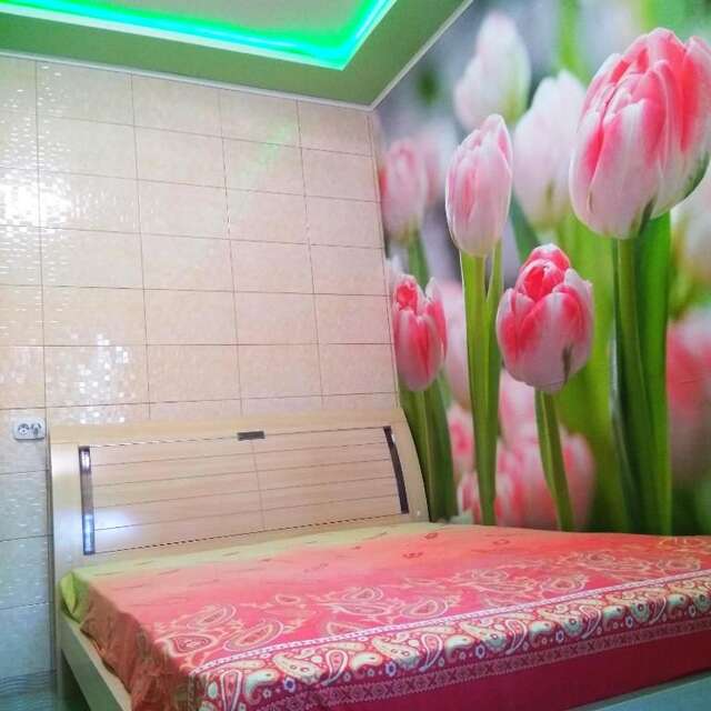 Апартаменты Апартаменты стадион Металист tulips Харьков-27